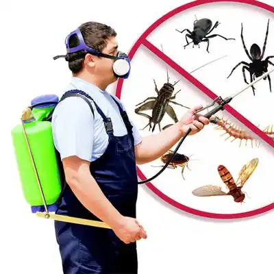 pest control St. Clair